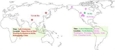 Origin and evolutionary history of Populus (Salicaceae): Further insights based on time divergence and biogeographic analysis